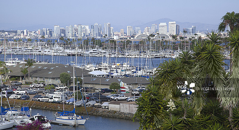 海港中众多的游船，背景是市中心天际线，前景是盛开的丝兰；美国加利福尼亚州圣地亚哥图片素材