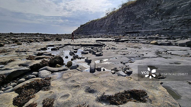莱姆里吉斯化石海滩的菊石路面，侏罗纪海岸世界遗产地，德文郡，英国图片素材