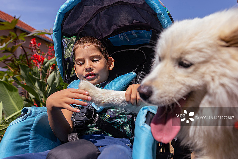 接受犬类治疗的男孩图片素材