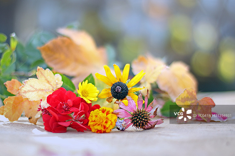 秋季花卉布置图片素材