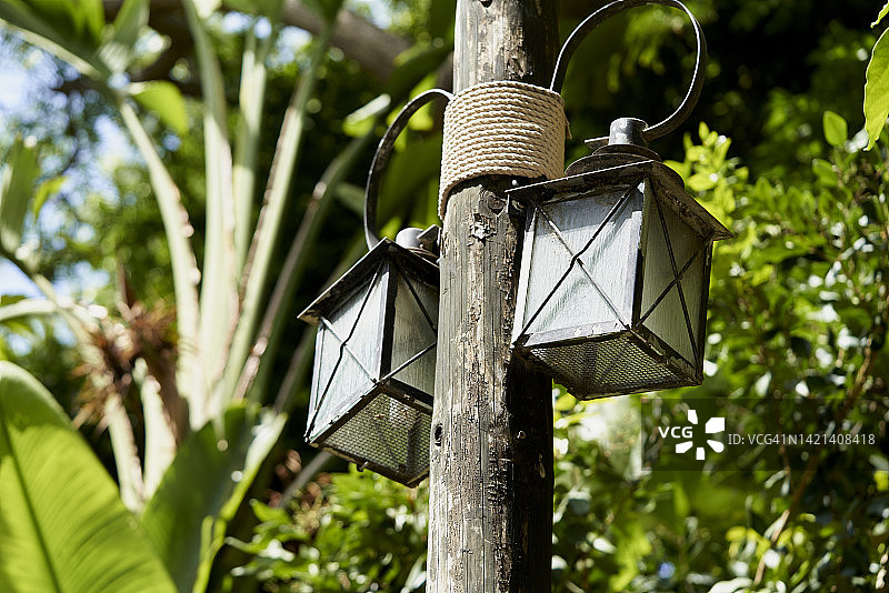 用绳子挂着两盏灯的树，背景是几棵树图片素材