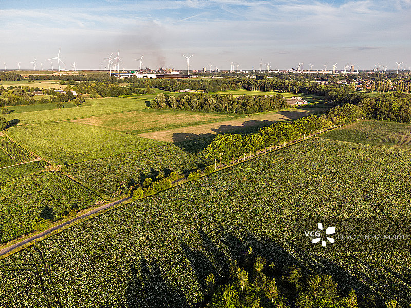 航拍耕地和风车图片素材