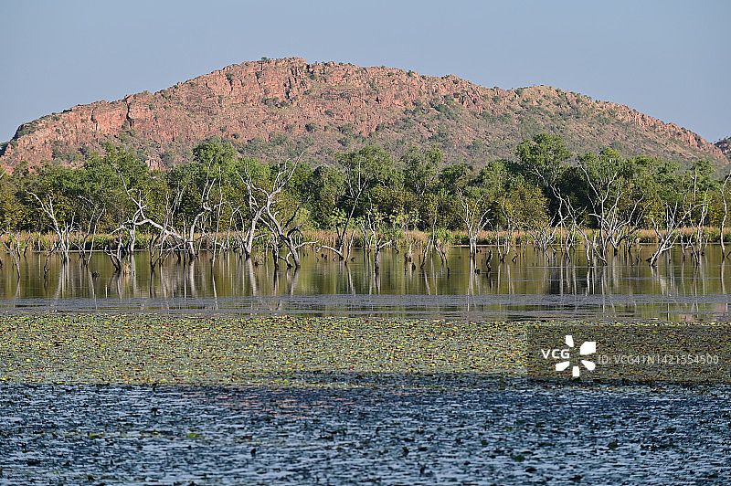 西澳大利亚金伯利奥德河景观图片素材