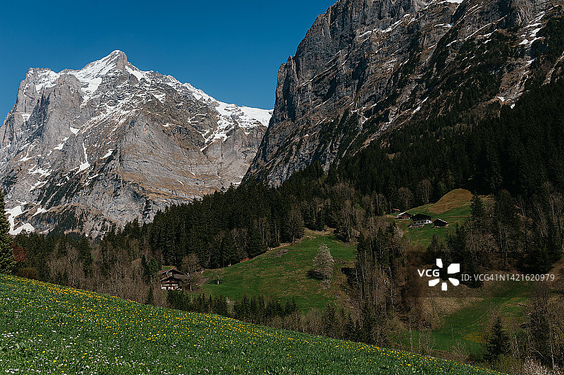 春天瑞士阿尔卑斯山的美丽彩色照片图片素材