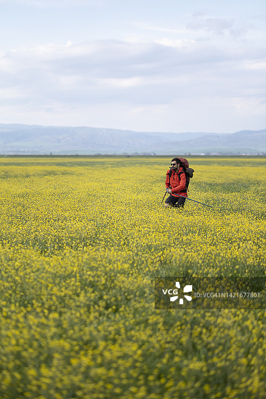 美丽的大自然图片素材