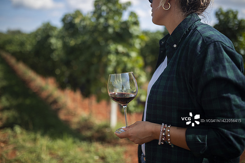 女人欣赏葡萄园的景色图片素材