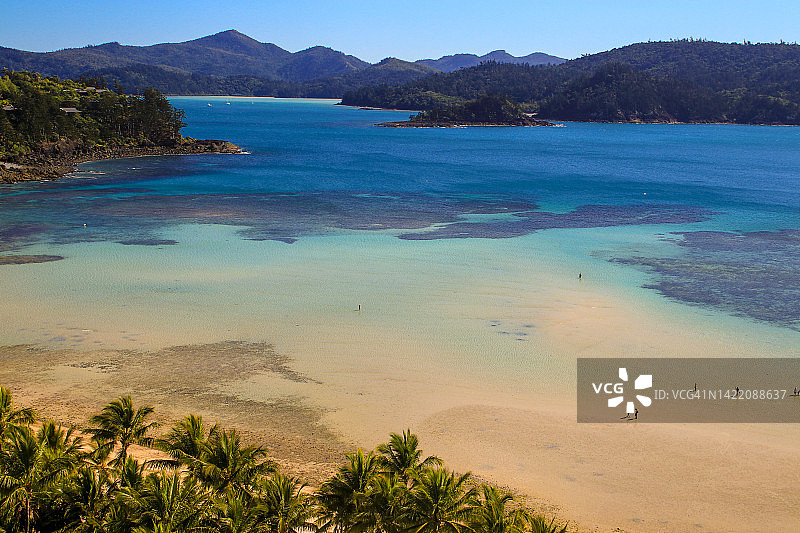 猫眼海滩低潮涉水鸟图片素材