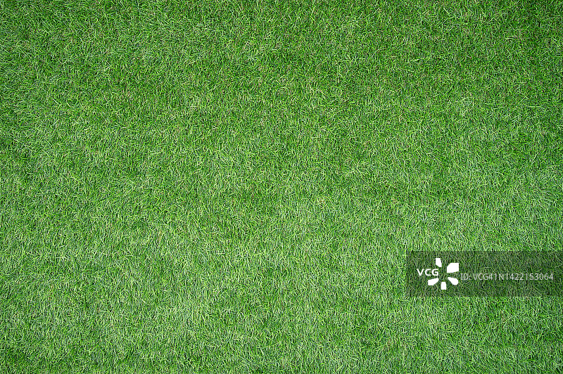 人造草特写全画幅镜头图片素材