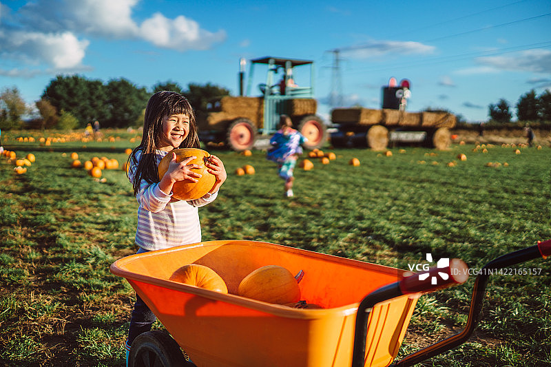 在南瓜地里挑选南瓜并放入手推车的可爱小女孩图片素材