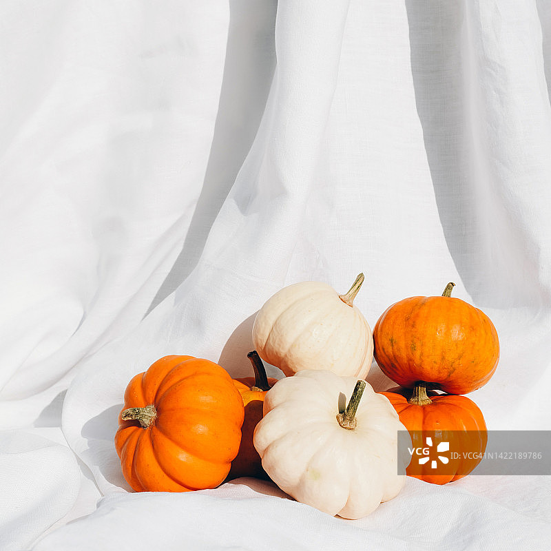 时尚简约的构图，白色织物上放着小南瓜。秋季氛围。感恩节。你好，秋天。万圣节。节日背景。生态。环保。图片素材