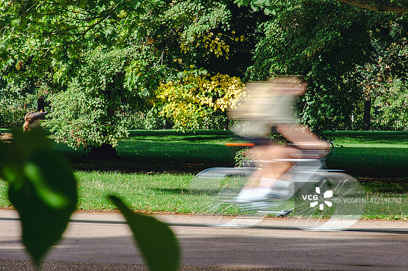 肯辛顿花园的夏日图片素材