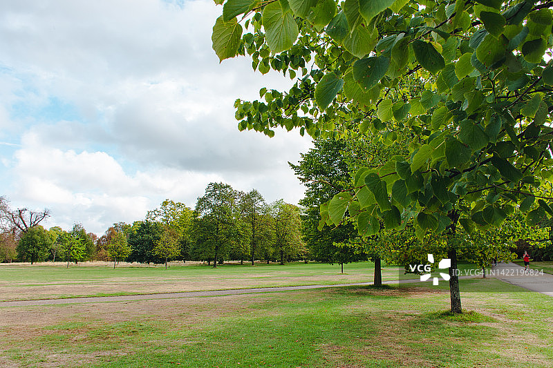 肯辛顿花园的夏日图片素材