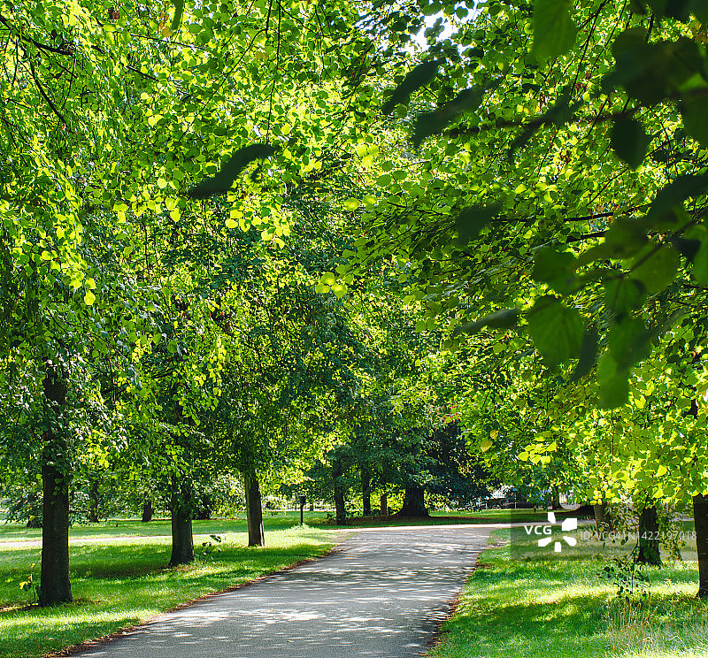 肯辛顿花园的夏日图片素材