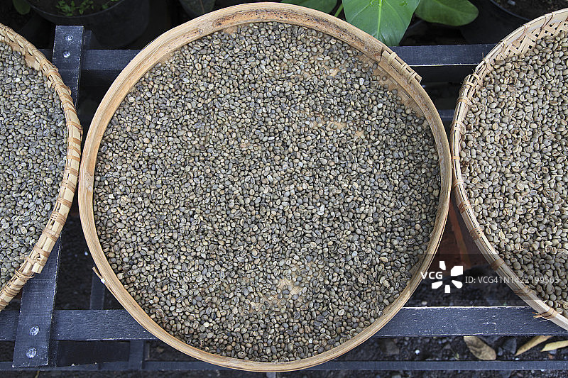 生猫屎咖啡豆图片素材