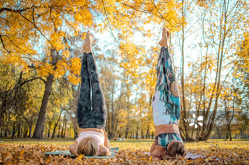 两名妇女在公园练习瑜伽，做肩倒立式图片素材
