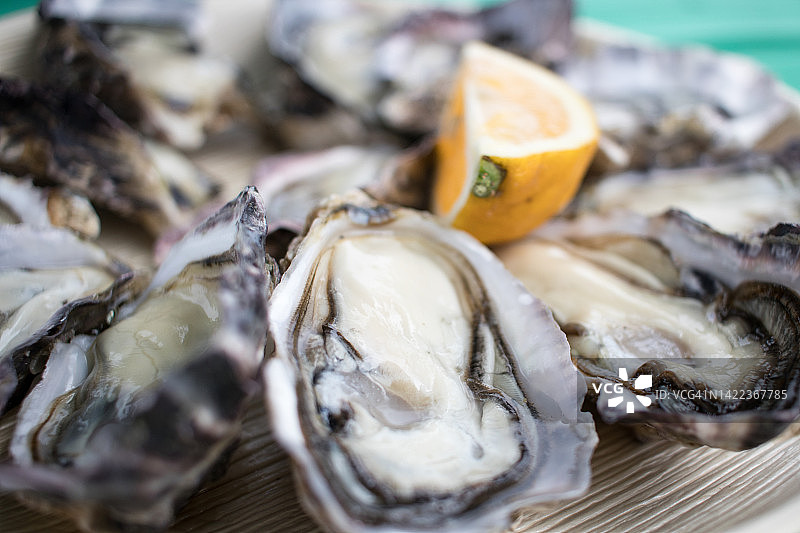 克莱夫登海岸牡蛎图片素材