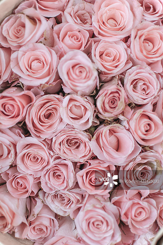 玫瑰花束的特写图片素材