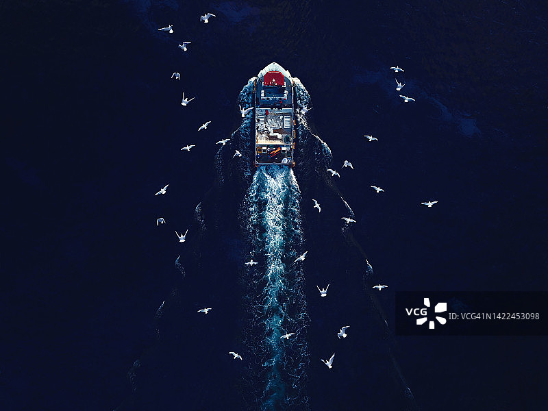 海鸥跟随下的渔船航拍图片素材