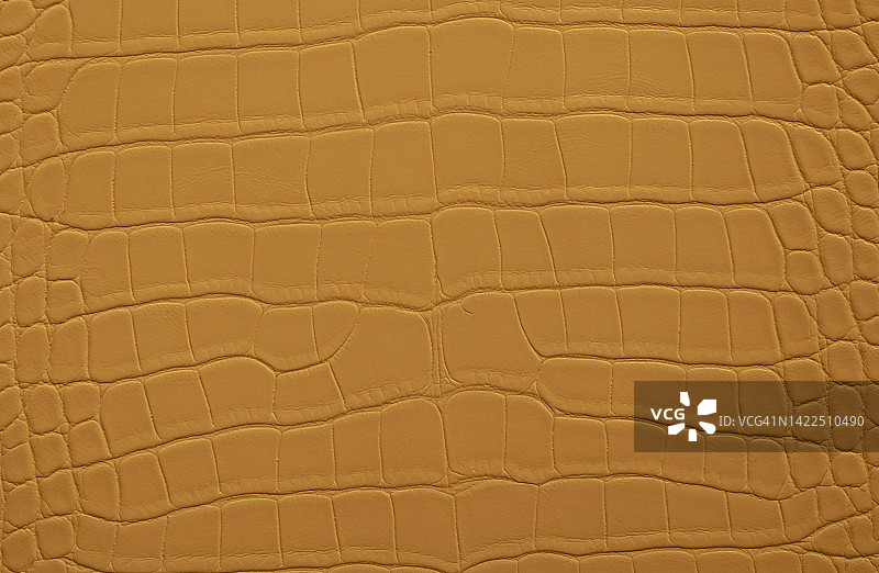 鳄鱼皮纹理背景图片素材