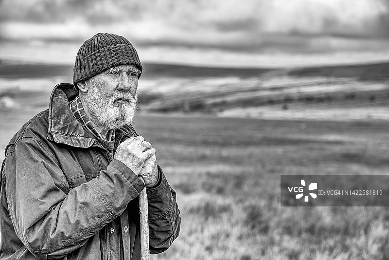 沼泽地上的农民图片素材