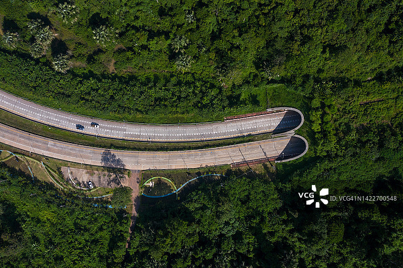 动物穿越的公路隧道图片素材