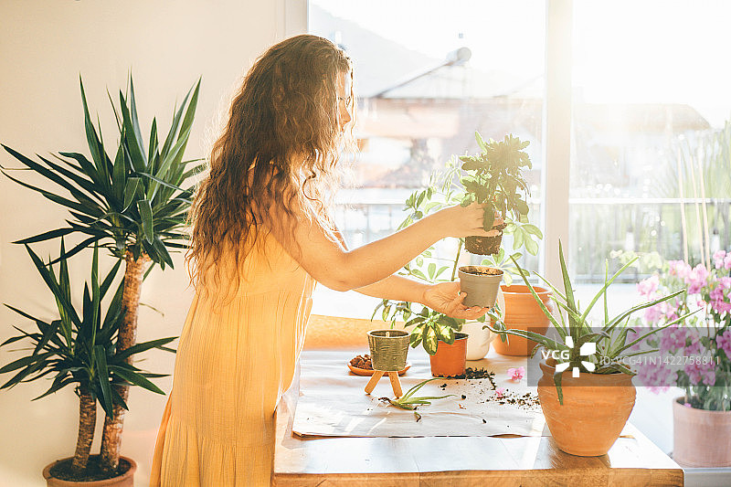 护理花朵的女人，享受种植乐趣的女人图片素材