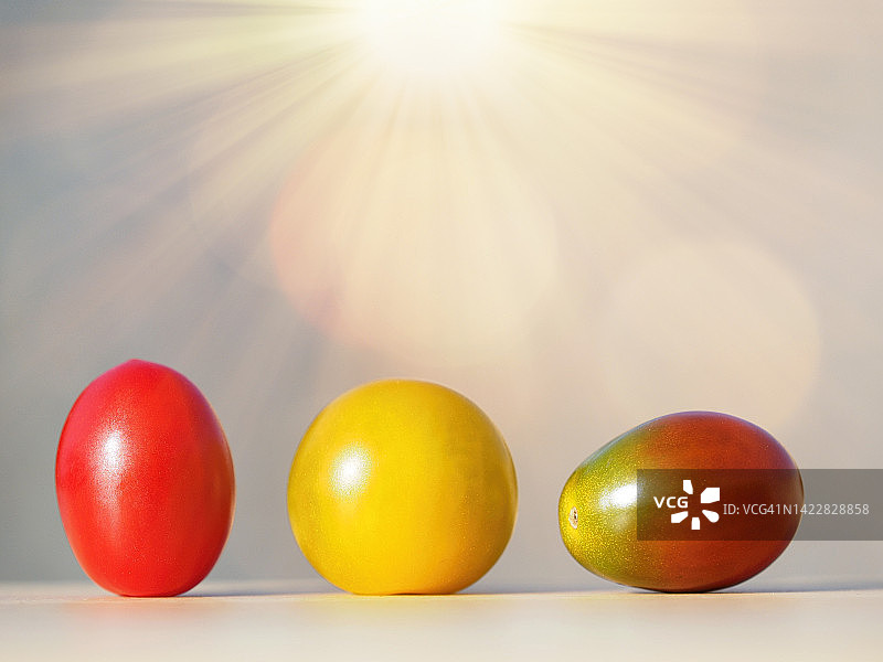 阳光下厨房台面上的小番茄图片素材