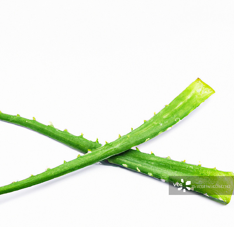 白色背景上的芦荟图片素材