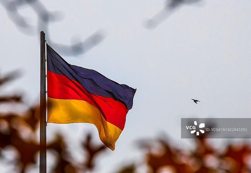 带有天空和飞鸟的德国国旗图片素材