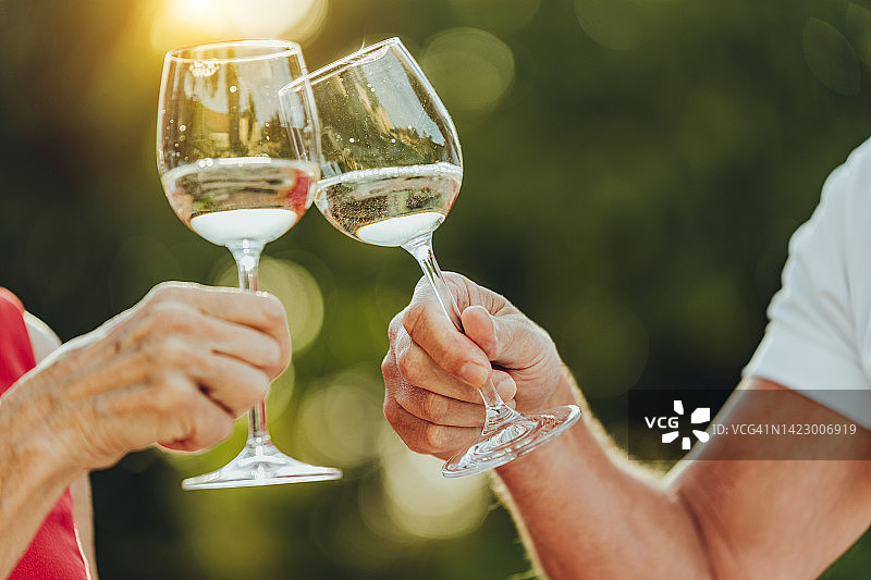 老年夫妇举杯庆祝周年纪念日特写图片素材