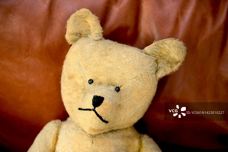 老式泰迪熊肖像图片素材