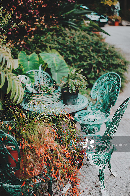 小型花园中的绿色金属花园家具图片素材