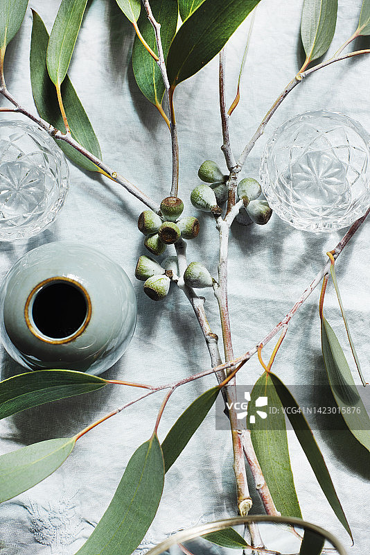 橄榄枝静物图片素材