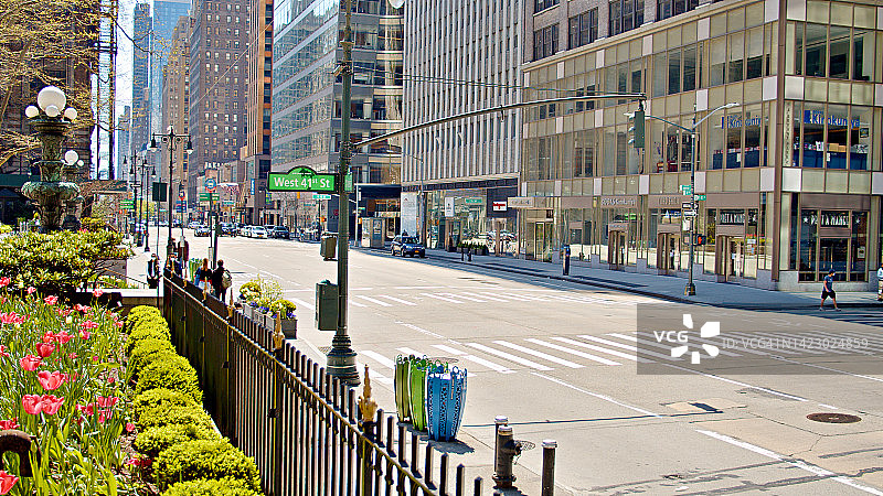 公园空旷的林荫大道：绿色曼哈顿图片素材