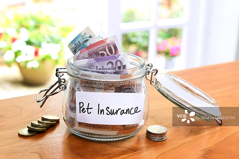 宠物保险罐子里的英镑纸币图片素材
