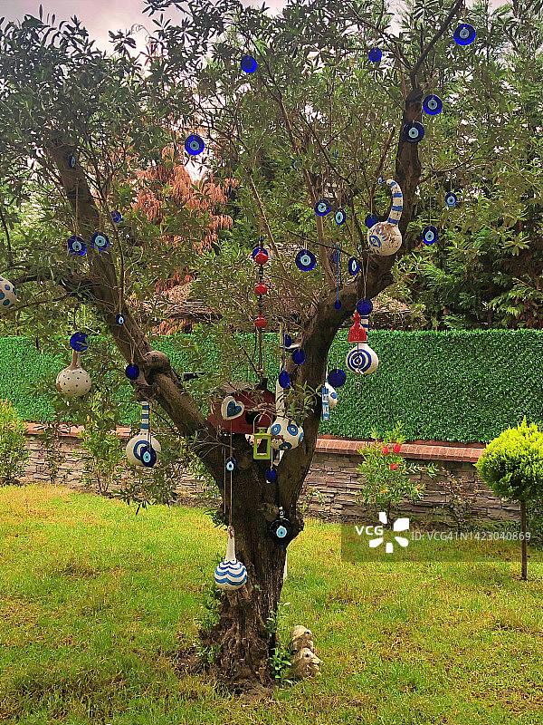 带有悬挂物体的树图片素材