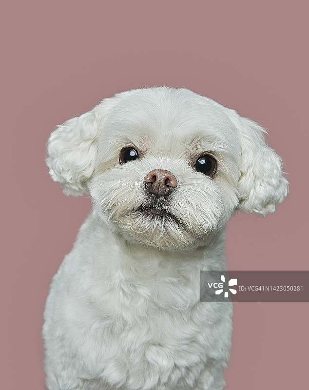 马耳他图片素材