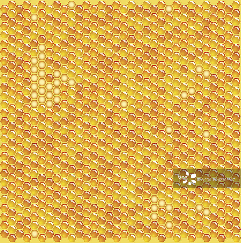 蜂窝图片素材