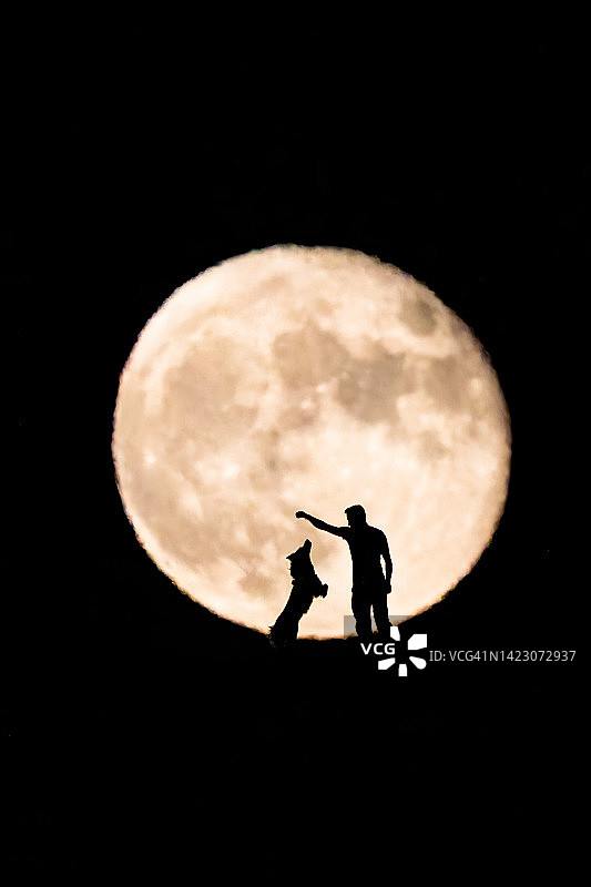 满月背景下的狗和主人剪影，宠物摄影图片素材