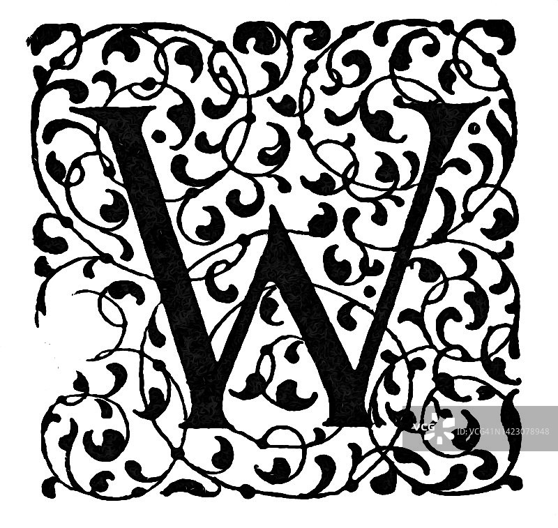 古代雕刻插图：字母W，装饰图片素材