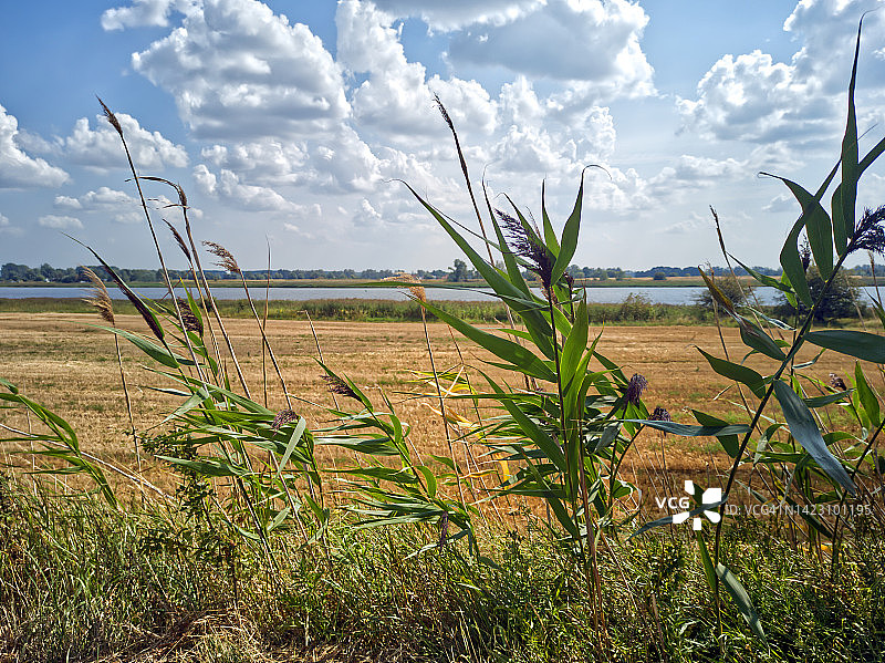 堤岸运河风光图片素材