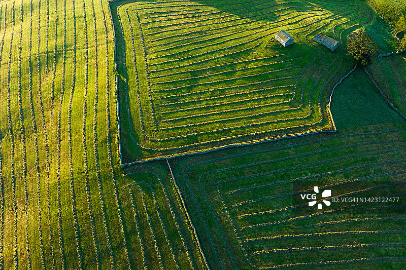 干草地图片素材