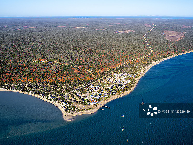 猴子米娅图片素材