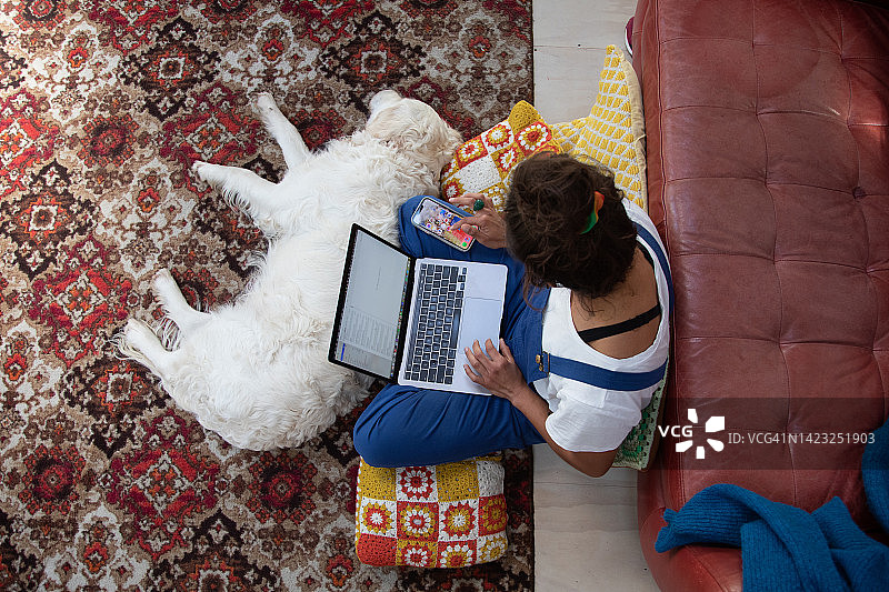 在家和她的狗一起用笔记本电脑工作的女人图片素材