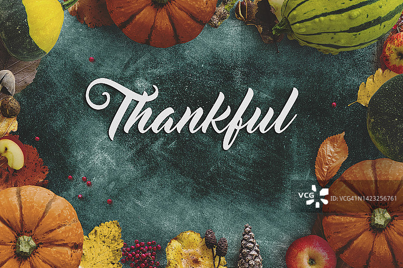 用南瓜静物和感恩信息表达感谢图片素材