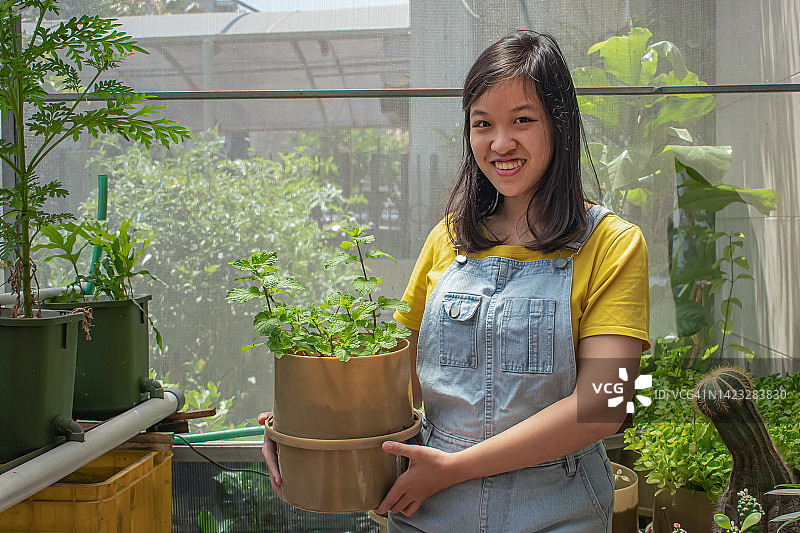 微笑的年轻亚洲女性抱着盆栽薄荷图片素材
