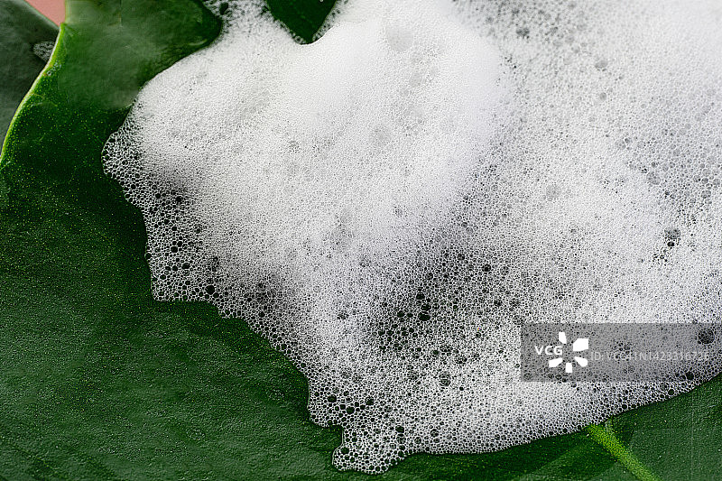 美容产品白色泡沫或化妆乳液，带有绿色的热带叶子图片素材