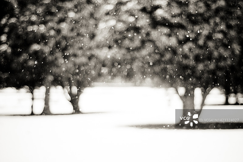 小阵雪图片素材