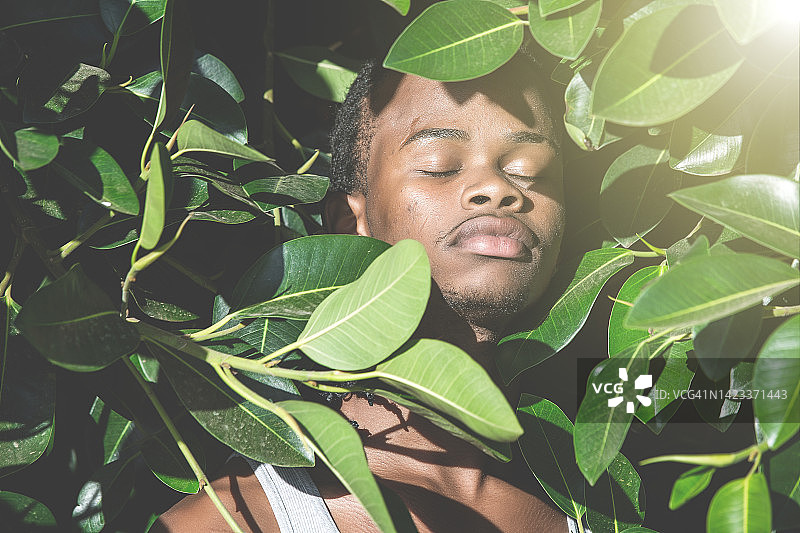 树叶中的黑人男子图片素材