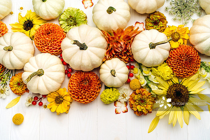 白色木背景上的白色装饰南瓜和秋花，感恩节和万圣节概念俯拍图片素材